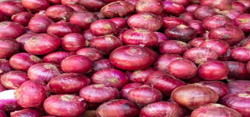Pakistan, China ink agreement for export of onions